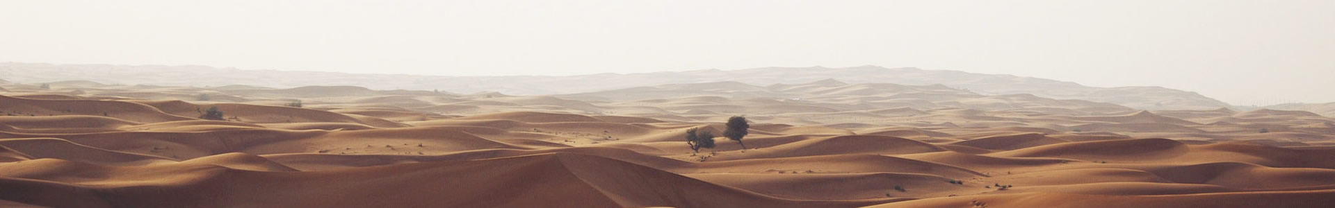 عɽе޹˾